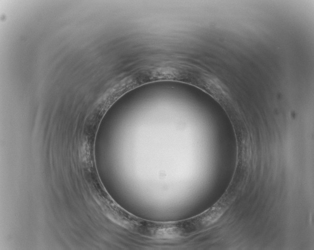 X0000056000173200508261759