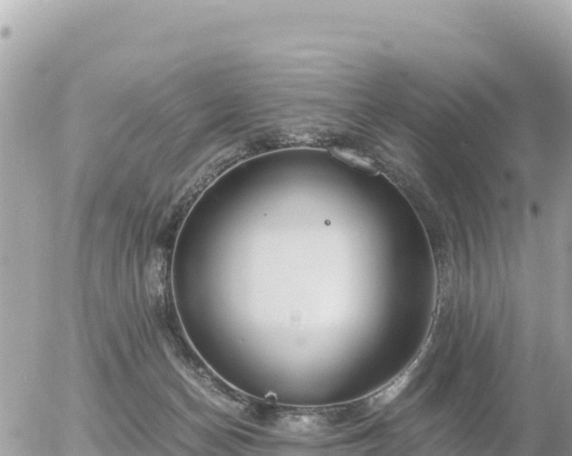 X0000056000174200508261759