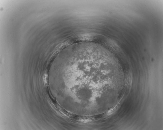 X0000056000175200508261759