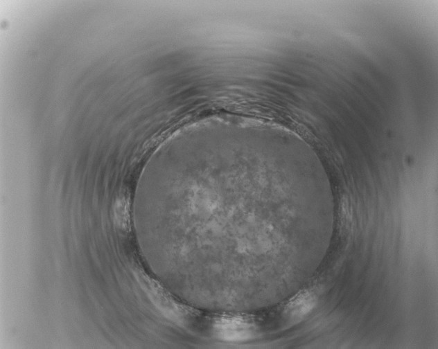 X0000056000177200508261759