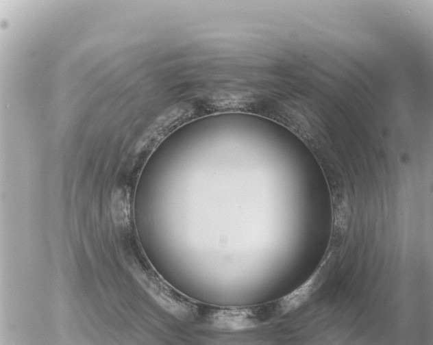 X0000056000179200508261759