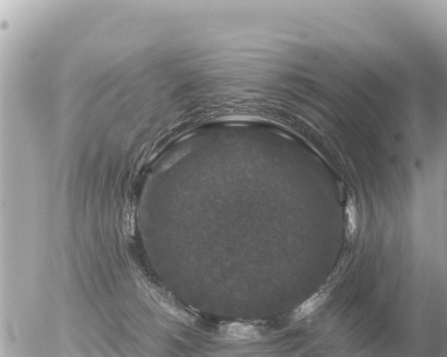 X0000056000180200508261759