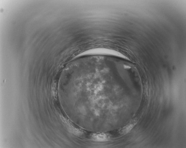 X0000056000181200508261759