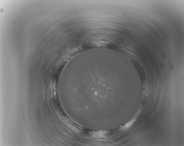 X0000056000182200508261759