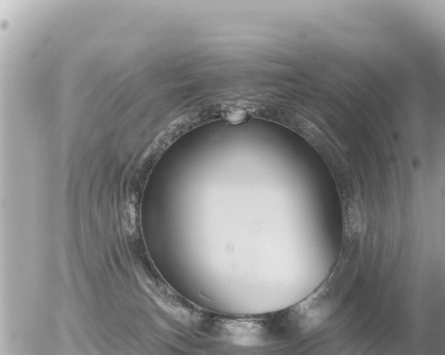 X0000056000183200508261759