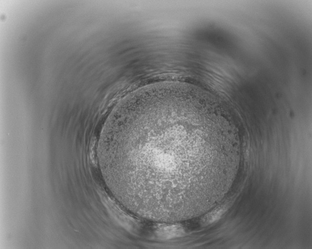 X0000056000185200508261759