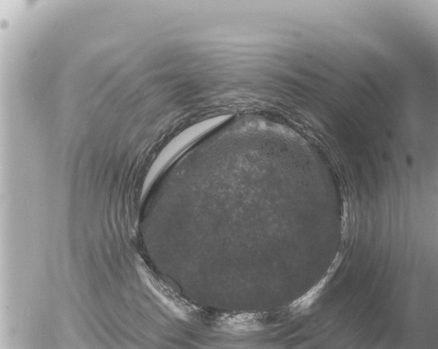 X0000056000186200508261759