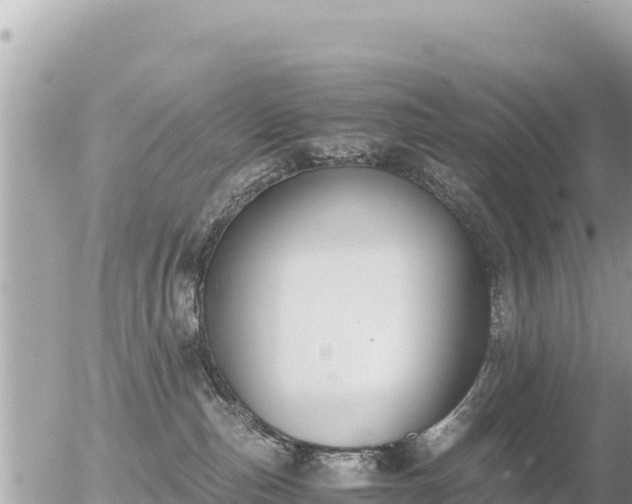 X0000056000187200508261759