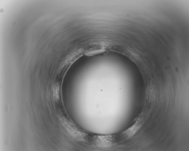 X0000056000188200508261759