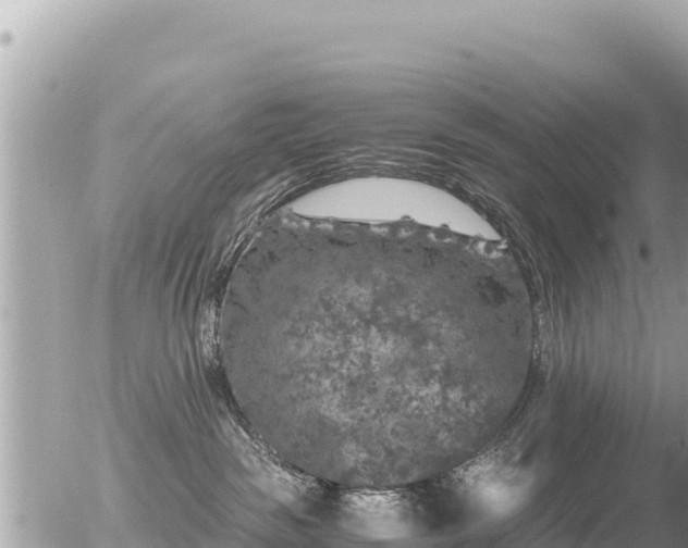 X0000056000189200508261759