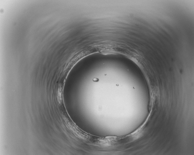 X0000056000190200508261759