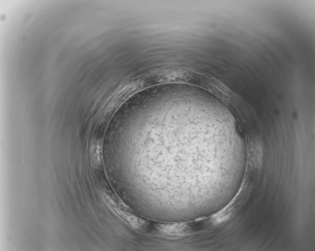 X0000056000191200508261759