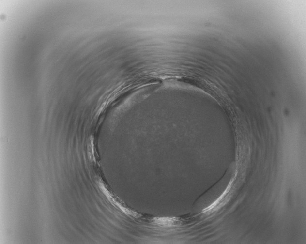 X0000056000192200508261759