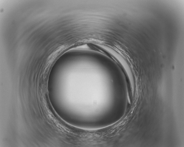 X0000056000193200508261758