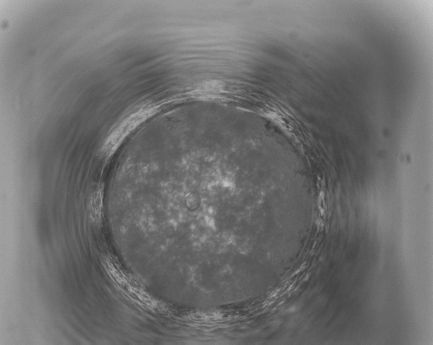 X0000056000194200508261758