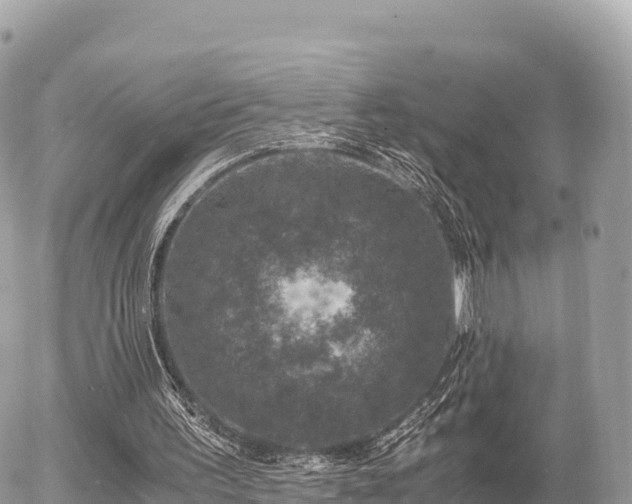 X0000056000195200508261758