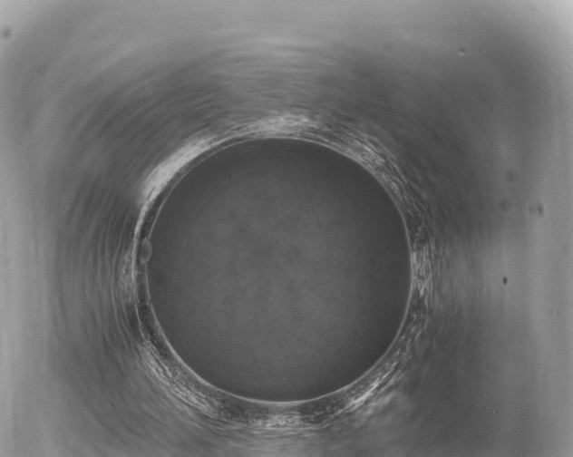 X0000056000196200508261758