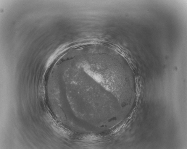 X0000056000198200508261758