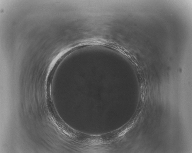 X0000056000200200508261758