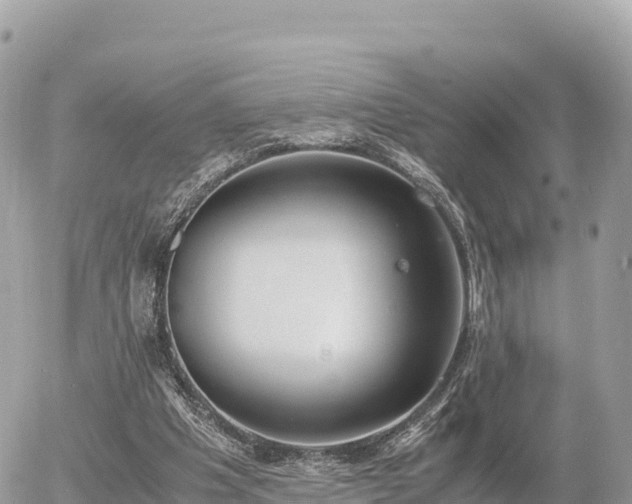 X0000056000201200508261758