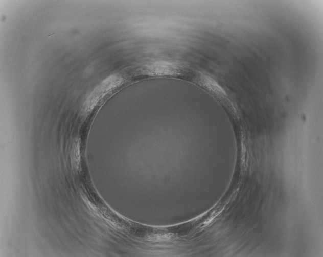 X0000056000202200508261758