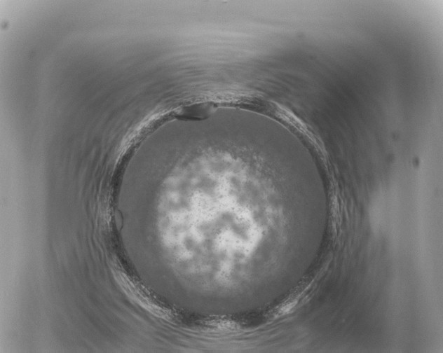 X0000056000203200508261758