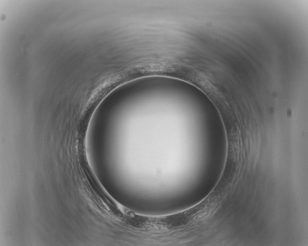 X0000056000207200508261758