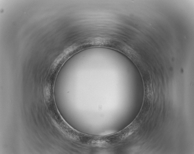 X0000056000208200508261758