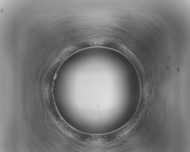 X0000056000209200508261758