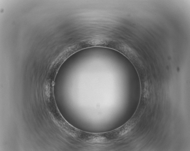 X0000056000210200508261758