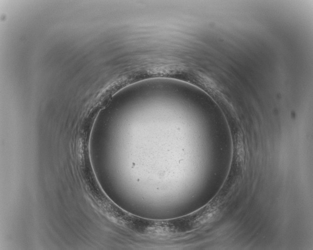 X0000056000211200508261758