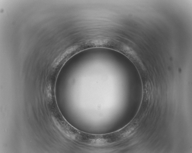 X0000056000212200508261758