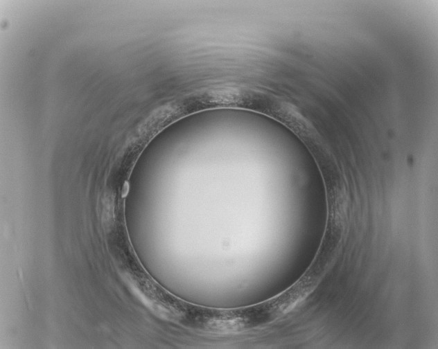 X0000056000213200508261758