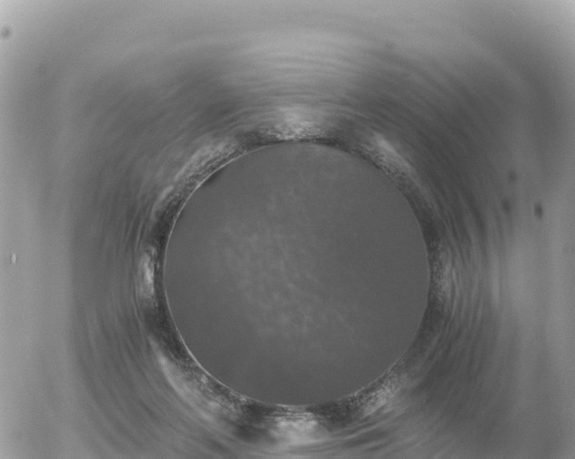 X0000056000214200508261758