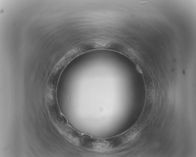 X0000056000215200508261758