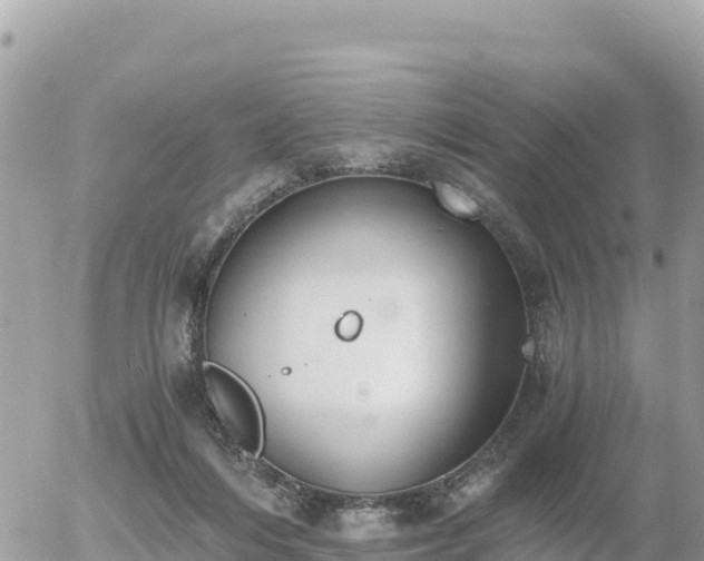 X0000056000216200508261758