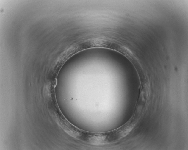 X0000056000217200508261758