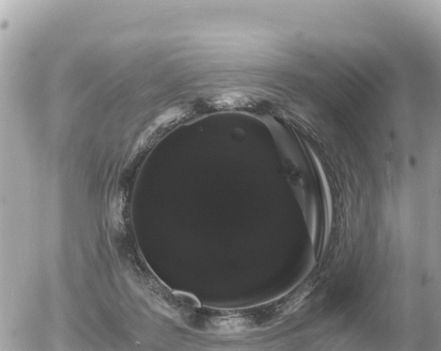 X0000056000219200508261758