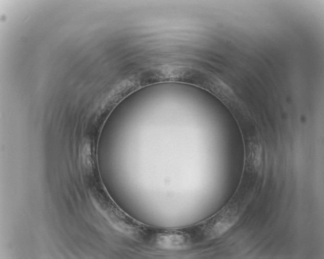 X0000056000220200508261758