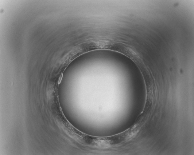 X0000056000221200508261758