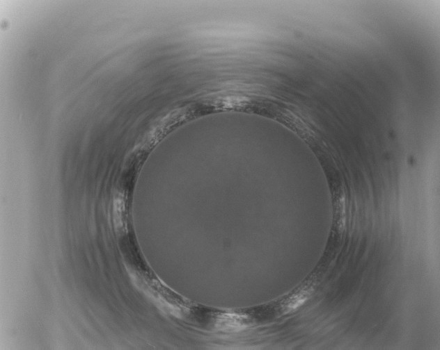 X0000056000222200508261758