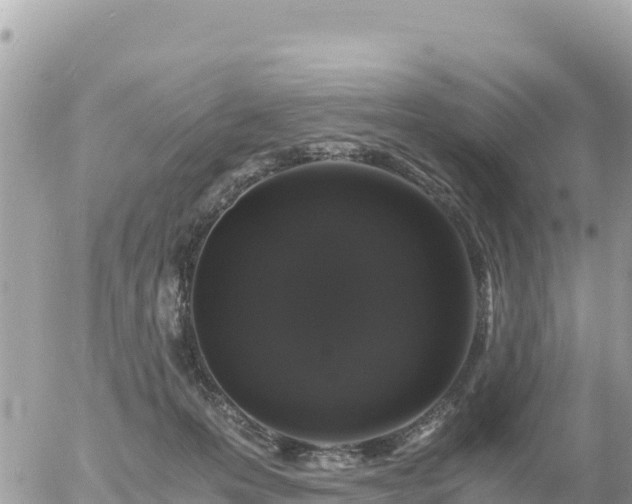 X0000056000223200508261758