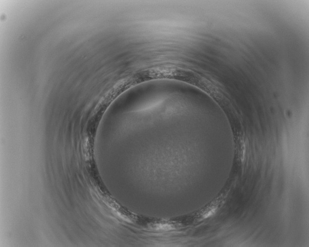 X0000056000224200508261758