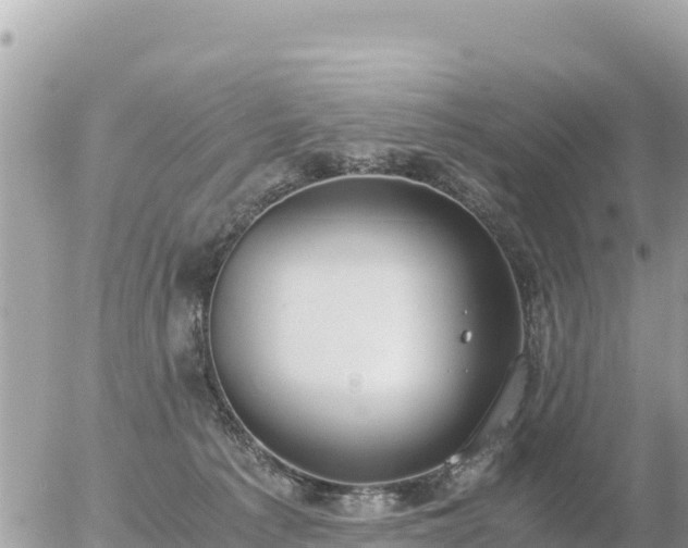 X0000056000225200508261758