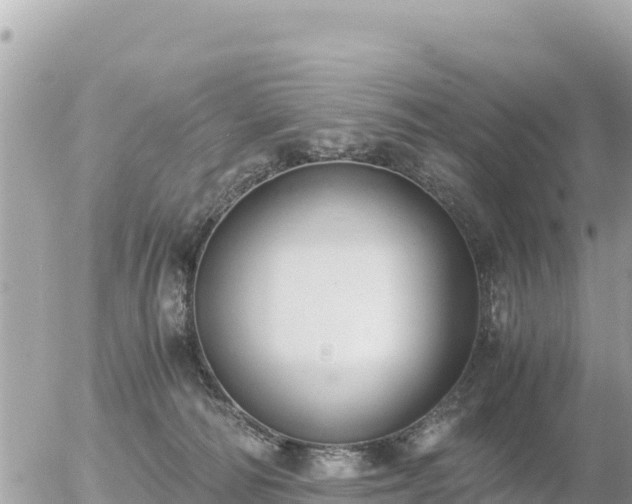 X0000056000226200508261758