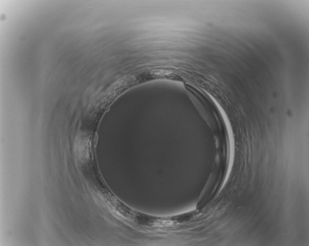 X0000056000227200508261758