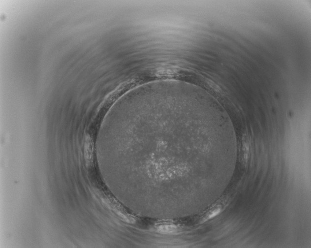 X0000056000228200508261758