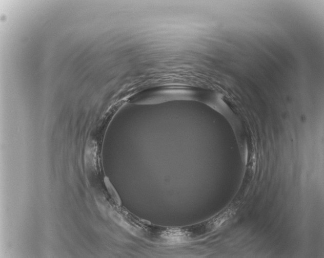 X0000056000231200508261758