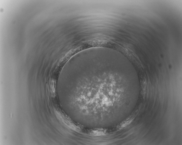 X0000056000232200508261758