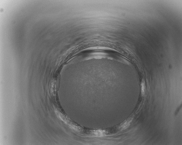 X0000056000233200508261758